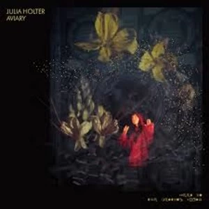 Image of Julia Holter - Aviary Limited Edition Transparent Vinyl