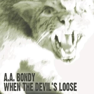 Image of A.A. Bondy - When The Devil's Loose Vinyl