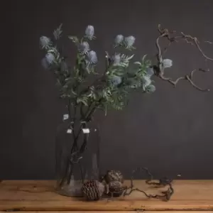 Image of Eryngium Blue Thistle