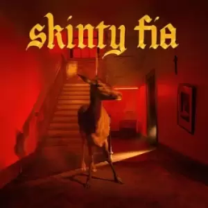 Image of Skinty Fia by Fontaines D.C. CD Album