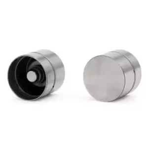Image of INA Tappet 420 0118 10 Valve Tappet,Engine Tappet OPEL,CHEVROLET,SAAB,Corsa C Schragheck (X01),ZAFIRA B (A05),Meriva A (X03),Astra H Caravan (A04)