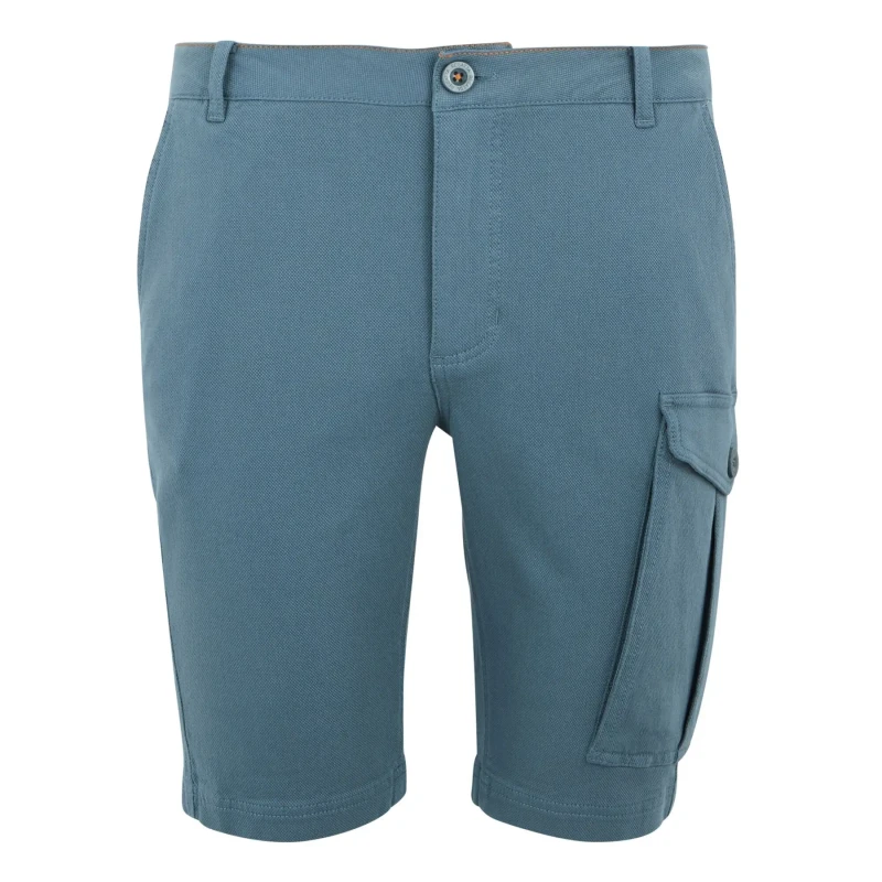 Image of Cargo shorts Regatta Bendrick Bleu Male 48