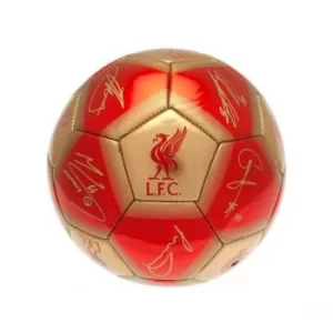 Image of Liverpool Red Gold Size 1 Signature Mini Ball