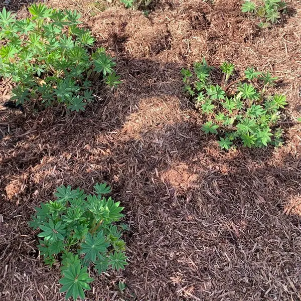 Image of YouGarden Strulch Mineralised Straw Garden Mulch (2 x 9kg) Gardening Essentials x2 9KG Bag Brown 41609605001