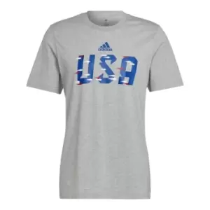 Image of adidas Fifa World Cup Qatar 2022 USA T-Shirt in Grey