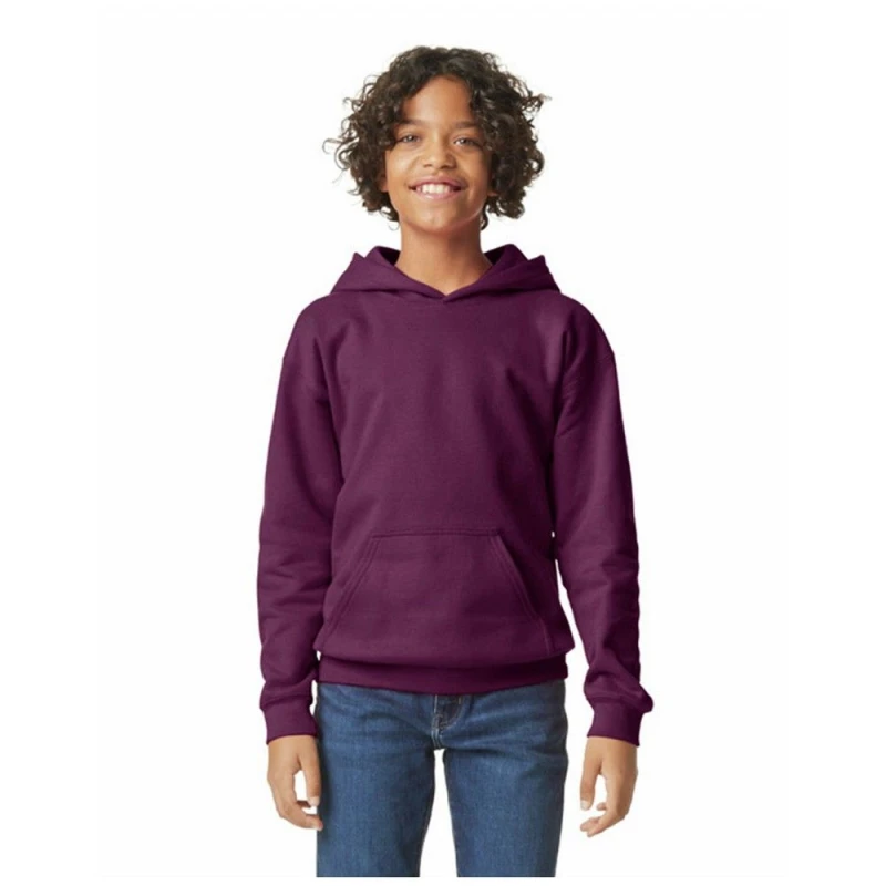 Image of Gildan Softstyle boys's Children's sweatshirt in Purple