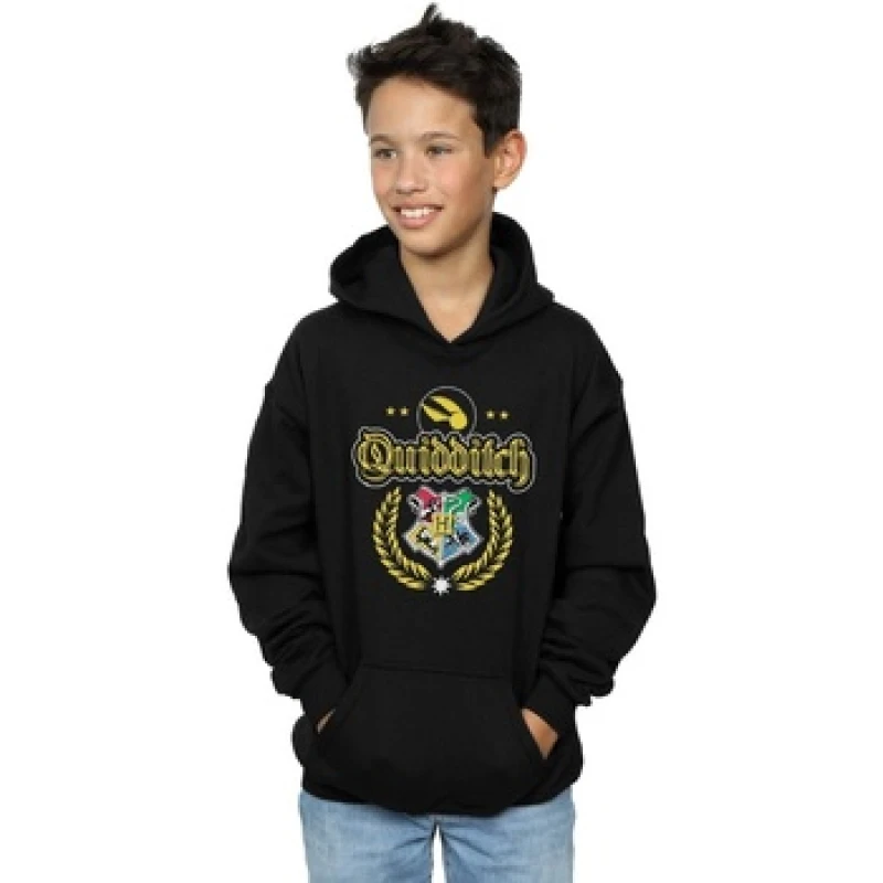 Image of Harry Potter Quidditch Crest Hoodie Black male