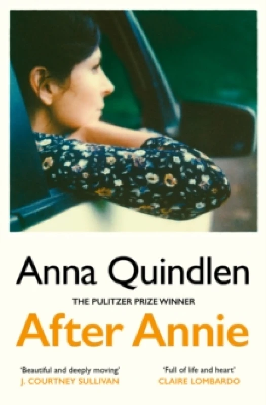 Image of After Annie Paperback / softback