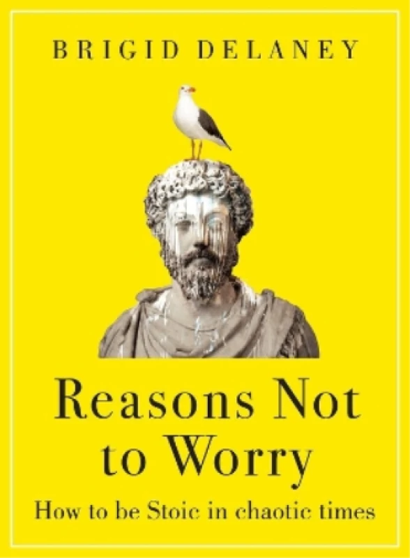 Image of Reasons Not to Worry. Hardback. By Brigid Delaney Books
