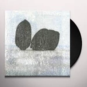 Image of Distant Animals - Lines Vinyl