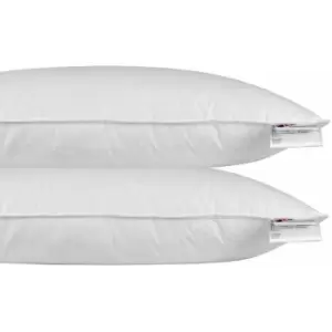 Image of HOMESCAPES Duck Feather Euro Continental Pillow Pair - 40cm x 80cm (16x32) - White