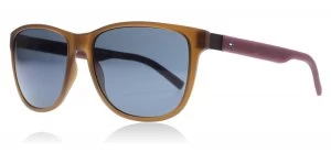 Image of Tommy Hilfiger 1403/S Sunglasses Matte Brown / Burgundy R6U 56mm
