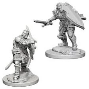 Image of Dungeons & Dragons Nolzur's Marvelous Unpainted Miniatures (W3) Human Male Paladin