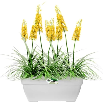 Image of Elho - Flowerpot Cachepot Garden Planter Box Outdoor Plant Pot Modern Design Plastic White Round Square Rectangular rechteckig/63 Liter (de)