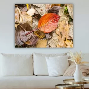 Image of 219993187_70100 Multicolor Decorative Canvas Painting
