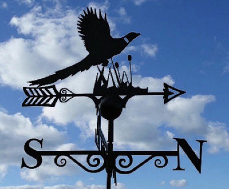 Image of Poppy Forge Pheasant Weathervane - Solid Steel - W61 X H88cm - Black