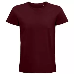 Image of SOLS Unisex Adult Pioneer Organic T-Shirt (3XL) (Burgundy)