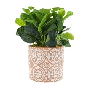 Image of Green Plant in Cement Pot with Moroccan Tile Print Red 27cm