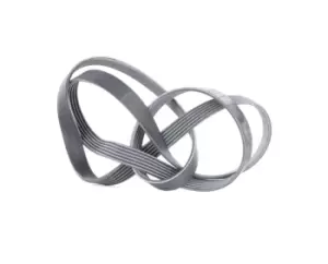 Image of CONTITECH V-ribbed belt AUDI,MERCEDES-BENZ,BMW 6PK1705 046903137B,11281437869,11287636371 1612164080,5750EK,5750F0,5750KT,5750LH,5750VQ,5750Y5,5750YA
