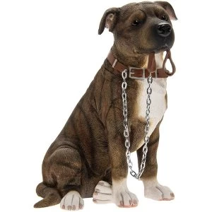 Image of Walkies Staffordshire Bull Terrier Brown Sitting By Leonardo