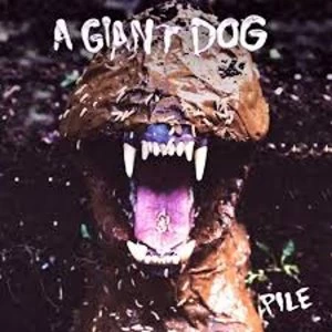Image of A Giant Dog - Pile Vinyl