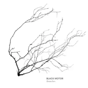 Image of Branches by Black Motor CD Album