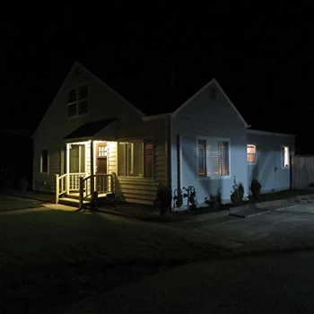 Image of Damien Jurado - Whats New. Tomboy? Vinyl