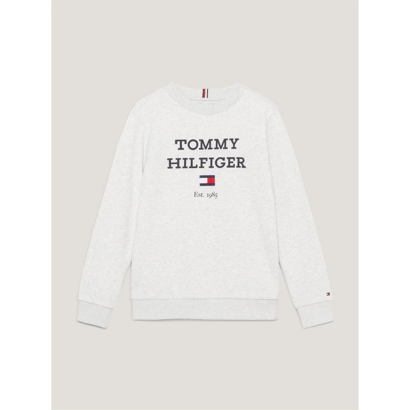 Image of Tommy Hilfiger TH LOGO SWEATSHIRT - Grey Grey One Size