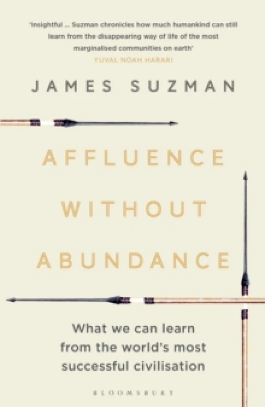 Image of Affluence Without Abundance : What We Can Learn from the World's Most Successful Civilisation Paperback / softback