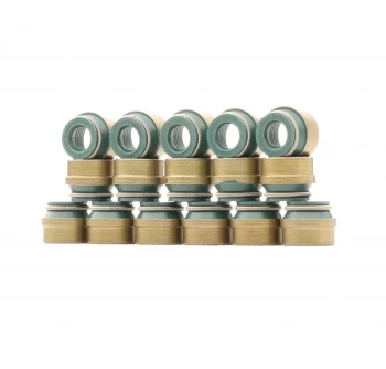 Image of REINZ Seal Set, valve stem RENAULT,VW,SEAT 12-26058-03 750071616x,02710967516x,113490591712x 09561916x,9753127816x,758134416x,435702816x,09561916x