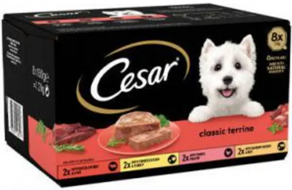 Image of Cesar Country Kitchen Dog Food Trays in Gravy 8 x 150g
