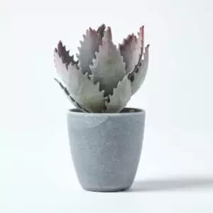 Image of Homescapes - Purple and Green Aloe Vera Artificial Succulent in Grey Pot, 21cm Tall - Green & Purple