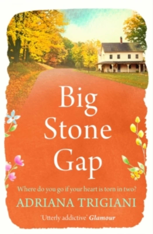 Image of Big Stone Gap Paperback / softback
