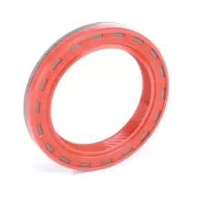 Image of REINZ Camshaft Seal 81-24909-10 Shaft Seal, camshaft OPEL,FIAT,CHEVROLET,Corsa D Schragheck (S07),Corsa C Schragheck (X01),ZAFIRA B (A05)