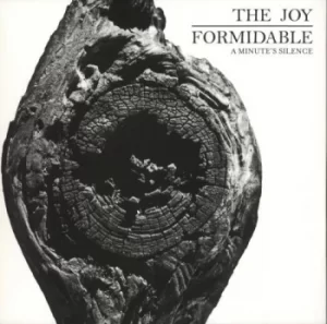 Image of The Joy Formidable A Minute's Silence 2013 UK 12" vinyl 7567-99548-4