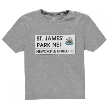 Image of Team St James Park T Shirt Junior Boys - Grey Marl