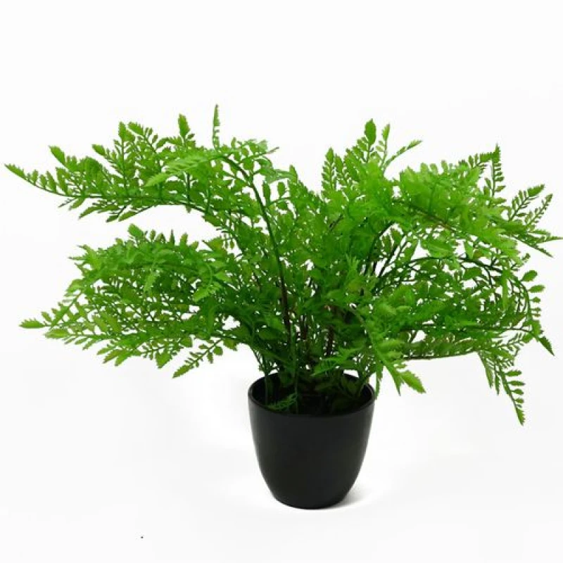 Image of Leaf 30cm Artificial Potted Southern Wood Fern Black Pot Green