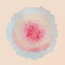 Image of When Words Flew Freely