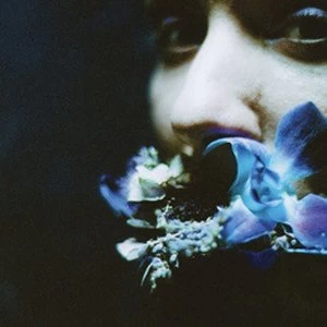 Image of Circuit Des Yeux - Reaching for Indigo Vinyl