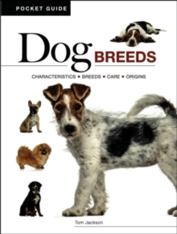 Image of Dog Breeds : Characteristics * Breeds * Care * Origins Paperback / softback