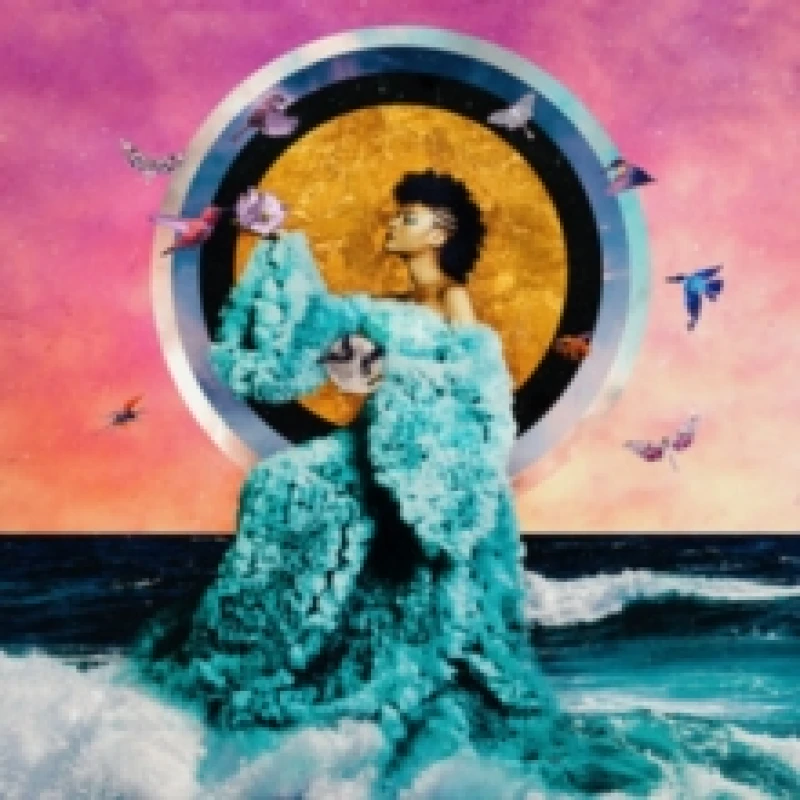 Image of The Returner CD / Album