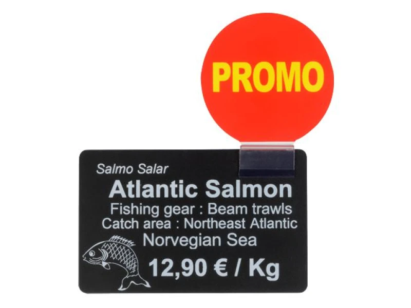 Image of Evolis AC000006 Promotional Badge and Crystal Fixing Clip (Pack of 25)