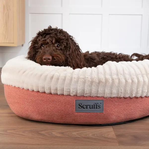 Image of Scruffs Ellen Donut Pet Bed Terracotta