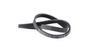 Image of Bosch V-ribbed belt 1 987 947 808 Serpentine belt,Auxiliary belt SKODA,PEUGEOT,HYUNDAI,FELICIA I (6U1),FELICIA I Kombi (6U5),FAVORIT (781)