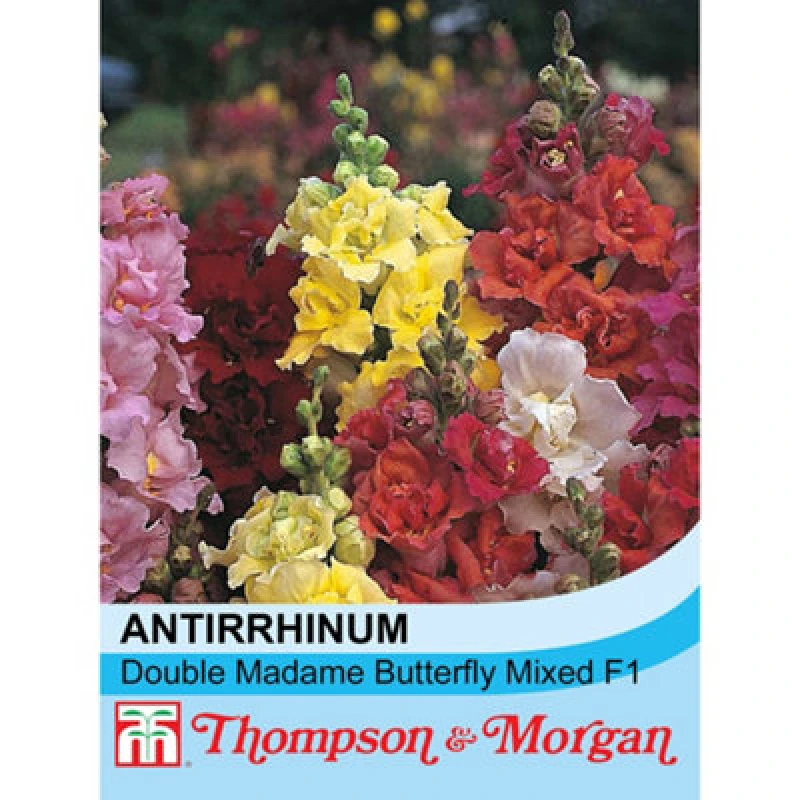 Image of Thompson & Morgan Antirrhinum Double Madame Butterfly Mixed F1 Hybrid 1 Packet (60 Seeds)