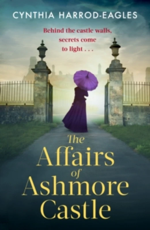 Image of The Affairs of Ashmore Castle Paperback / softback