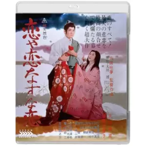 Image of The Mad Fox