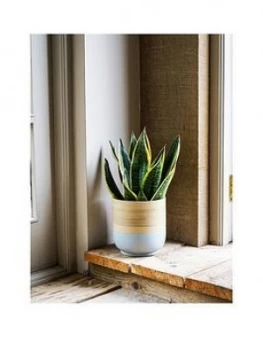 Image of Ivyline Bamboo Grey Planter
