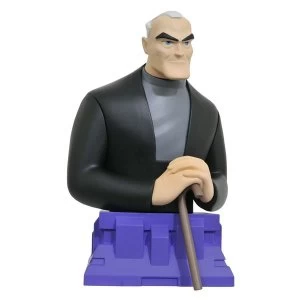 Image of Bruce Wayne (Batman Beyond) Bust