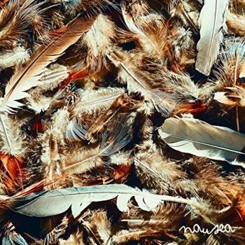 Image of Moodie Black - Nausea CD